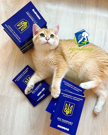 Оформление ветеринарного паспорта для кошек, титры fawn тест форма 1