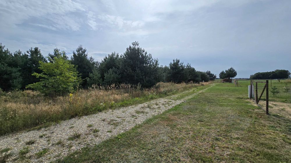 Działka Budowlana - 44-187 Czarków - ul.Różana