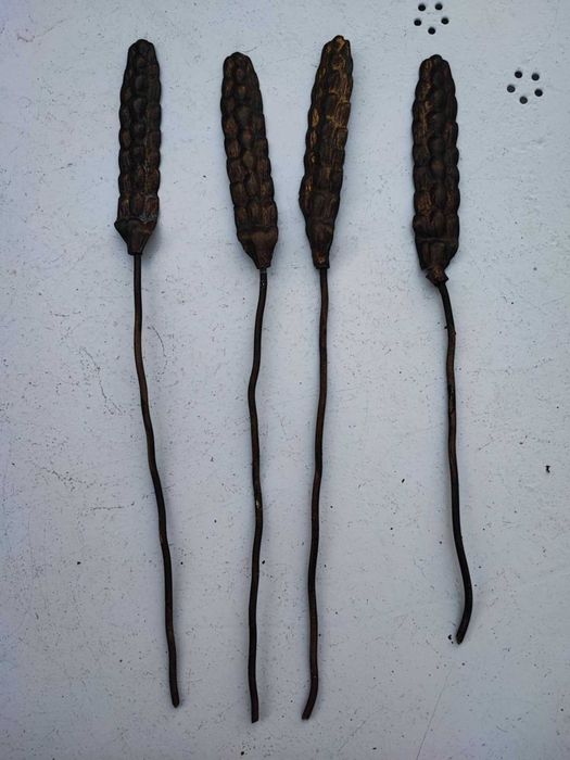 Stara mosiężna aplikacja kłos zboża,do mebel,zegar,lampa,cena za 1