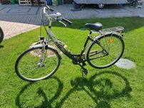 Rower holenderka