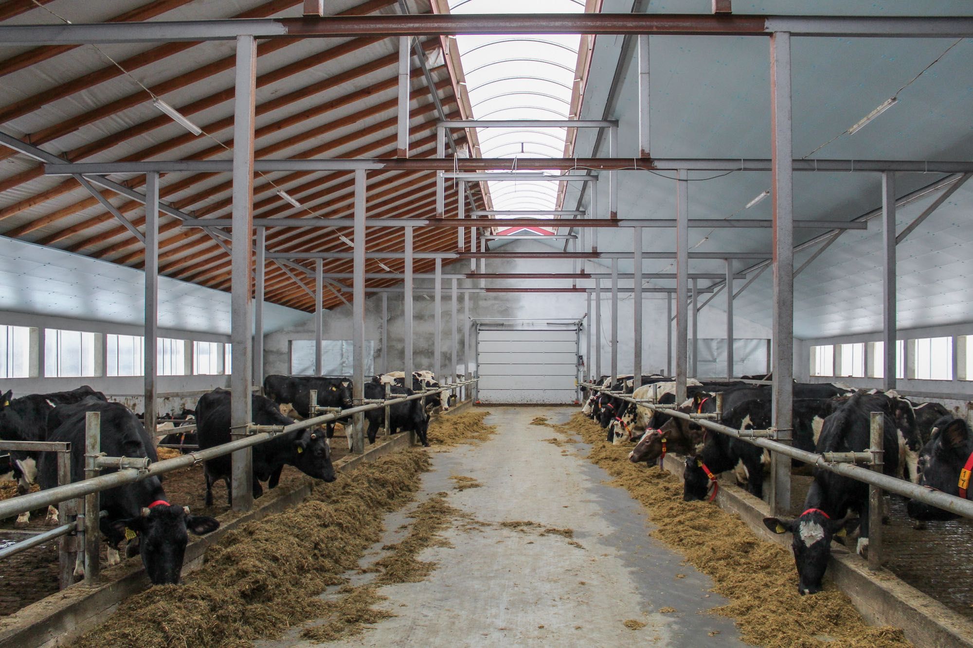 Ocieplenie Izolacja Podsufitka Dachu Stropu Płyty Styrodur XPS AGRO