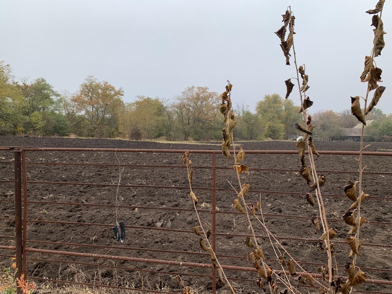 Криворізький район, с. Надія, вул. Зелена. Газ, світло, вода-є. Ділянк