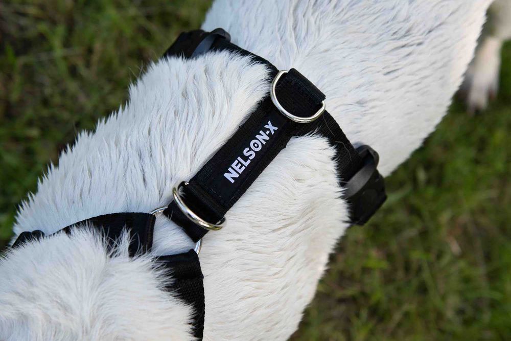 Szelki Guard dla psa NELSON-X duo jakość ROZ. L polski produkt jakość