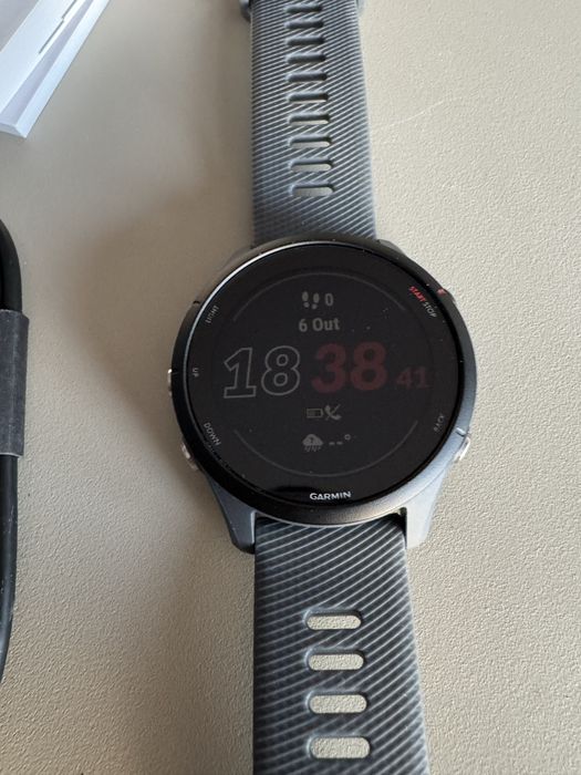 Garmin Forerunner 255