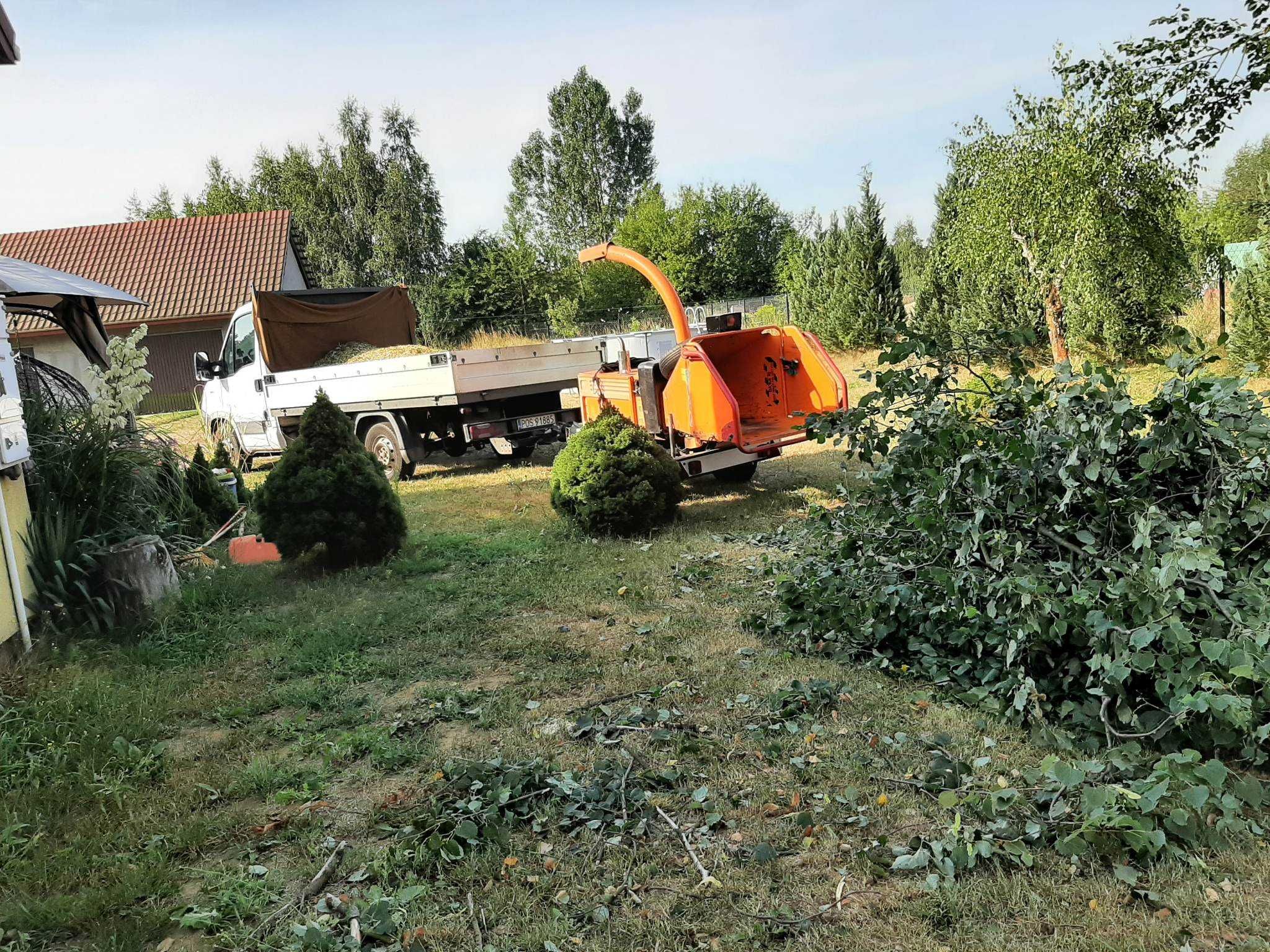 Wycinka Drzew Porządkowanie ogrodów i działek Podnośnik koszowy