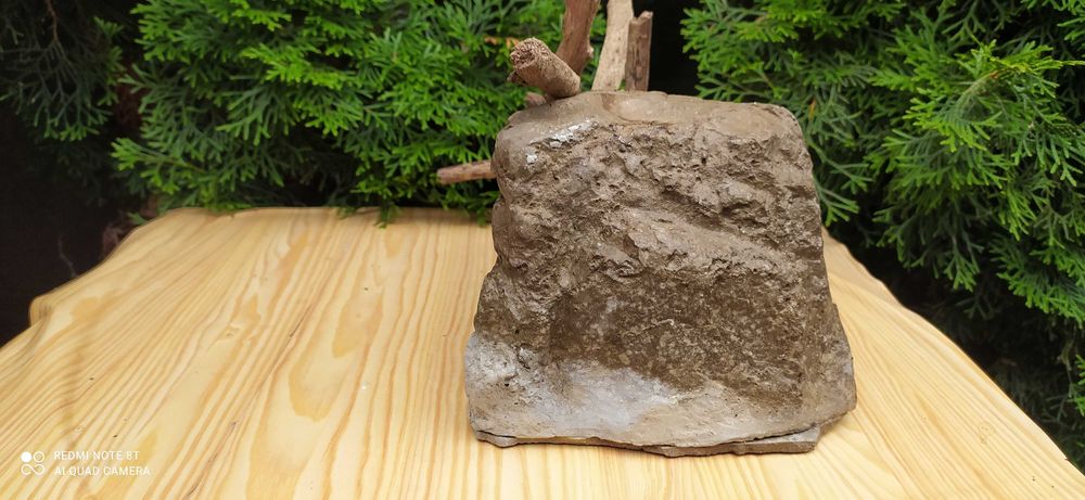 Duża grota do akwarium z korzeniem.