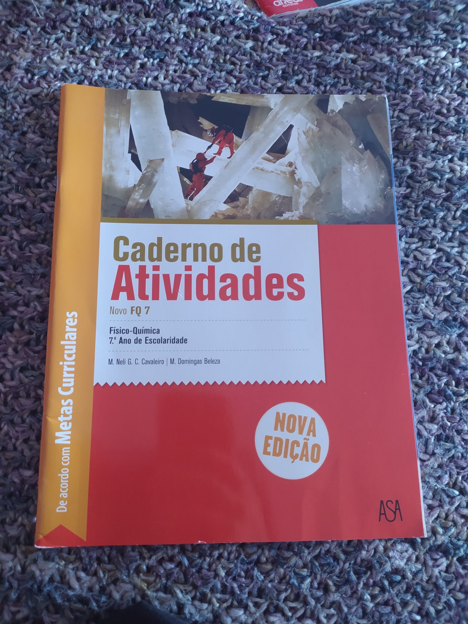 Cadernos de Atividades 7°ano