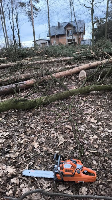 Profesjonalna wycinka drzew