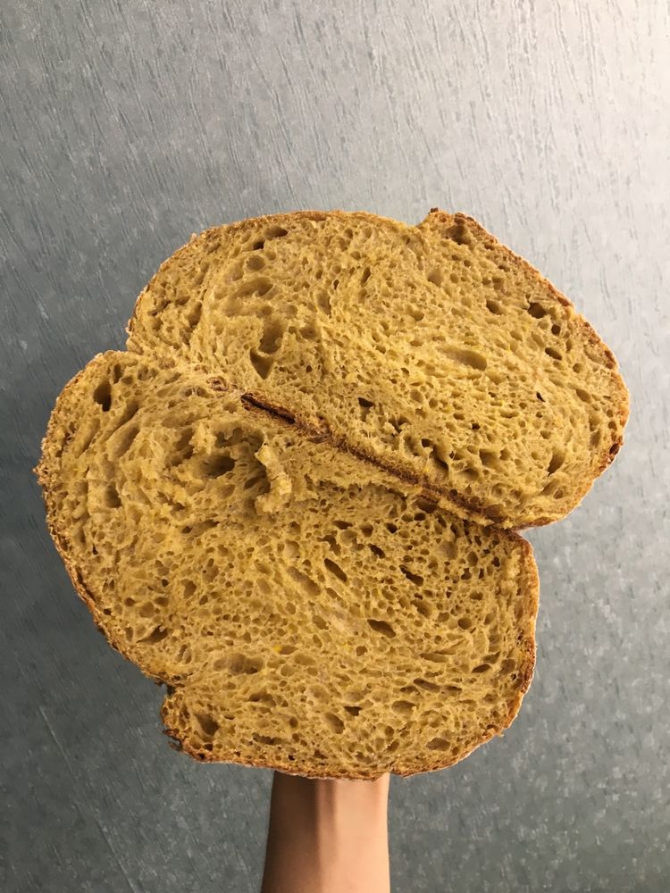 Левито мадре закваска для сдобы панеттоне паска кулич хлеб левіто хліб