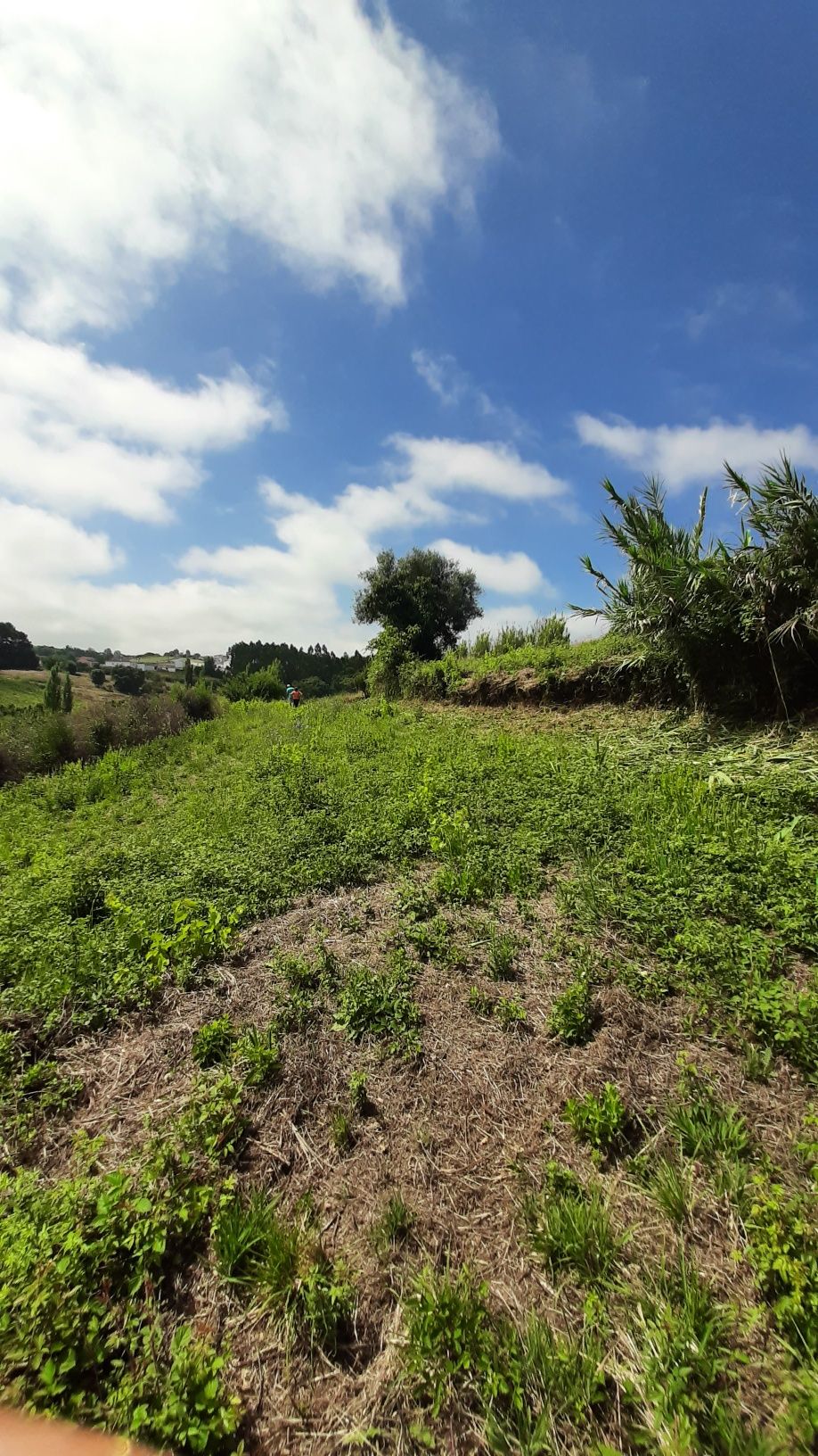 Terreno rustico p/ venda