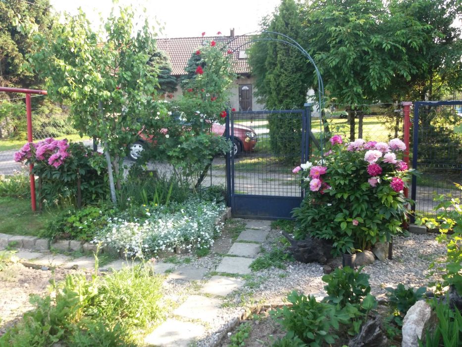 Sprzedam mieszkanie 85 m2 + ogród