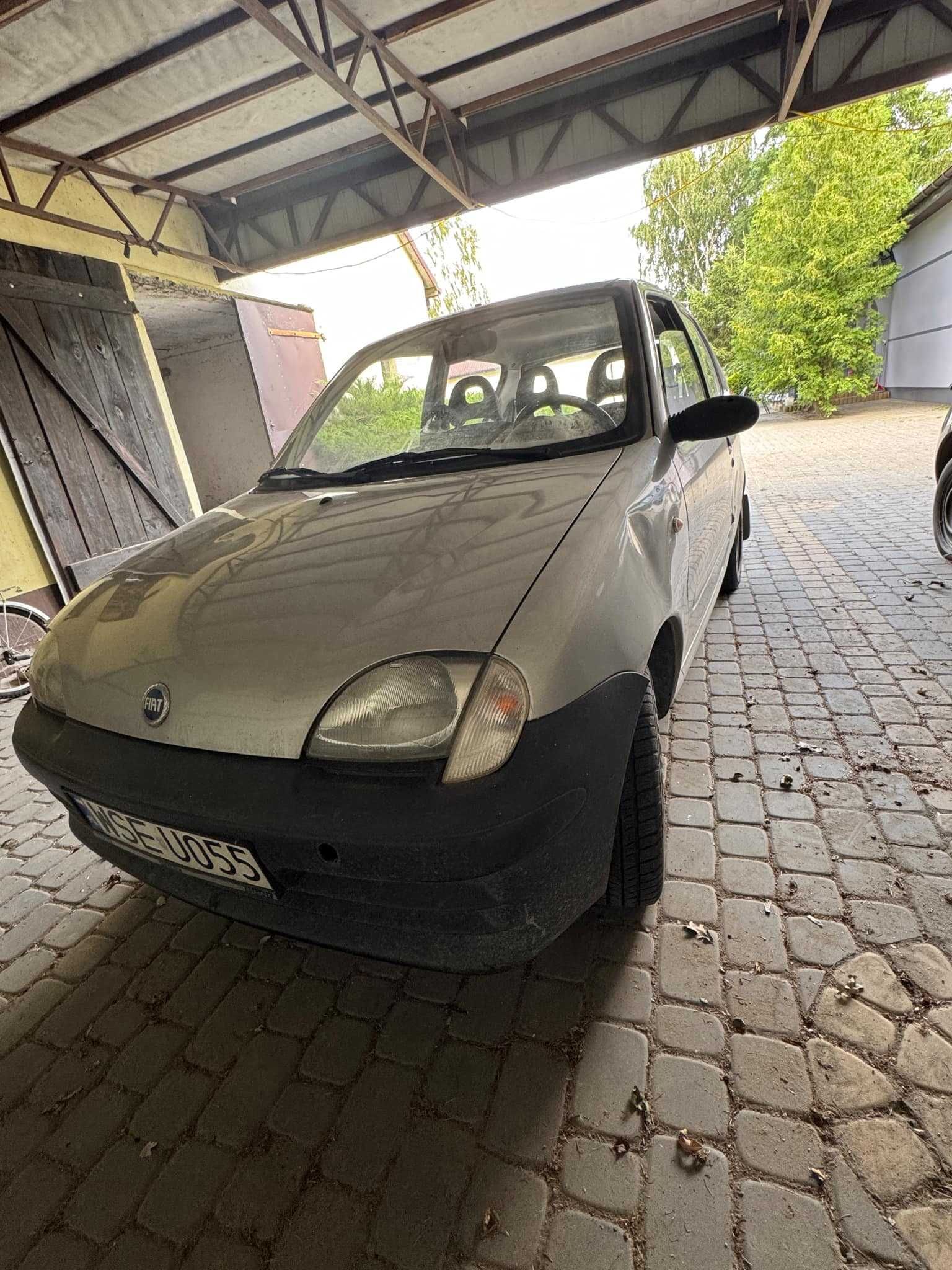 Seicento rocznik 2003