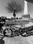 rower bmx, cult odisey primo
