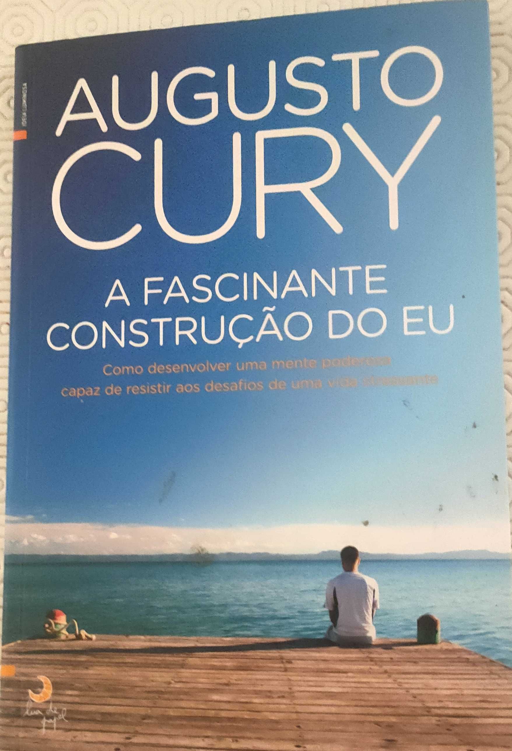 Portes incluídos A fascinante construção do eu de Augusto Cury
