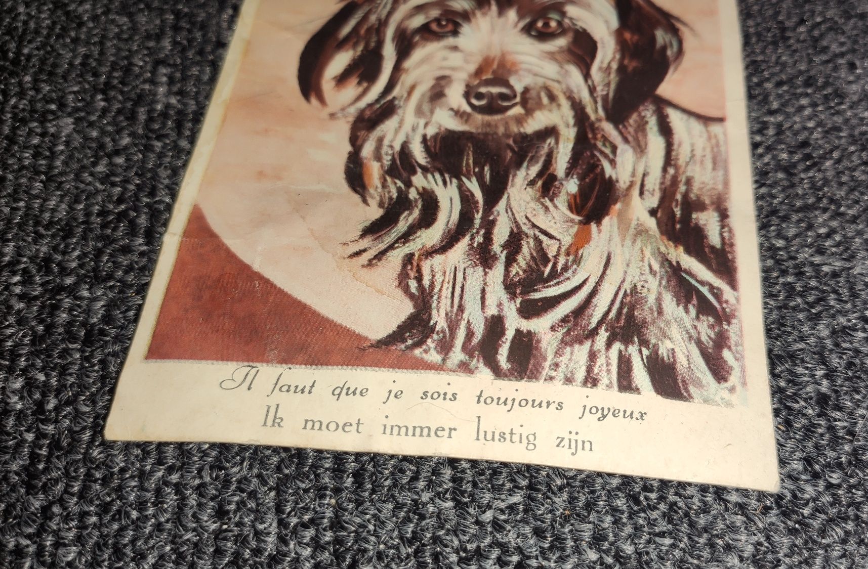 Pocztówka kartka stara pies puppy il faut que je sois toujours joyeux