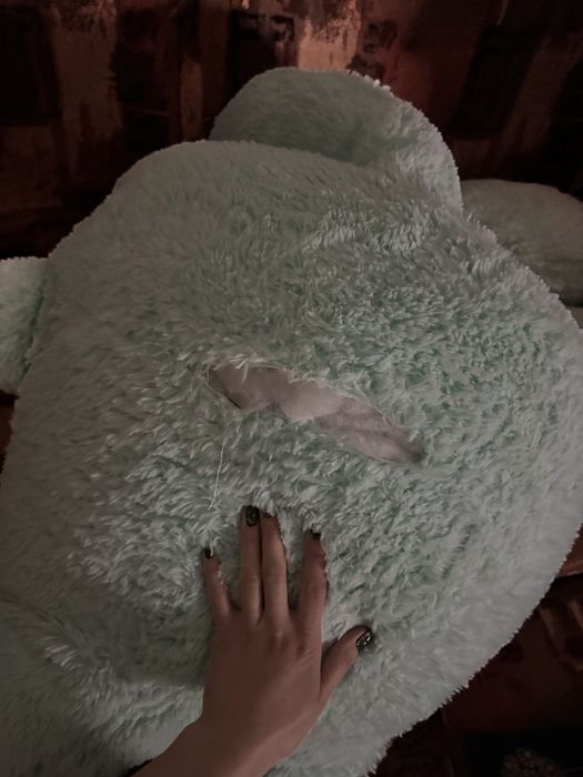 Віддам безкоштовно ведмедя