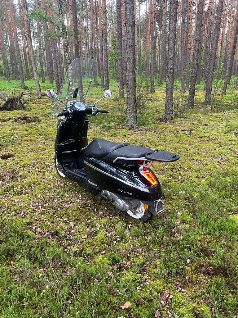 Peugeot*Django*50cm*Rewelacyjny stan