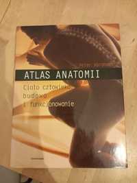 Atlas anatomii Ciało czlowieka: budowa i funkcjonowanie