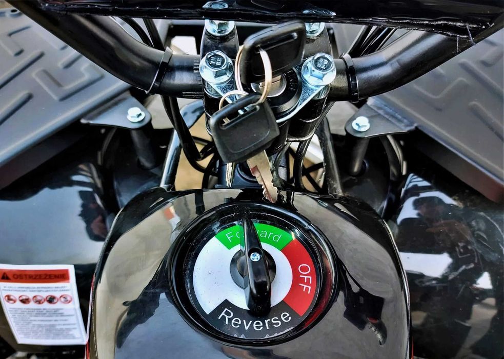 Бензиновий дитячий квадроцикл 50 куб. см. до 135 см зросту