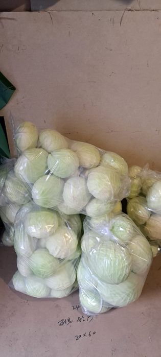 Капуста з поля Опт