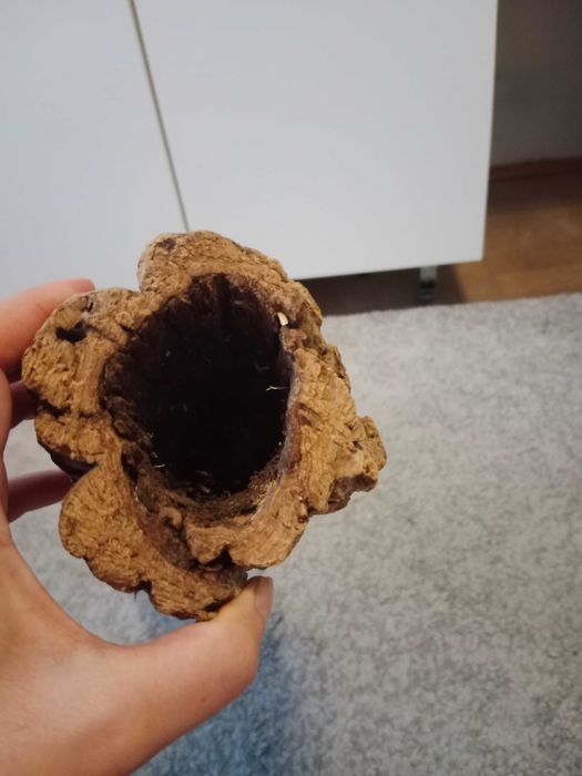 Tuba korkowa do terrarium 80x10 dąb korkowy