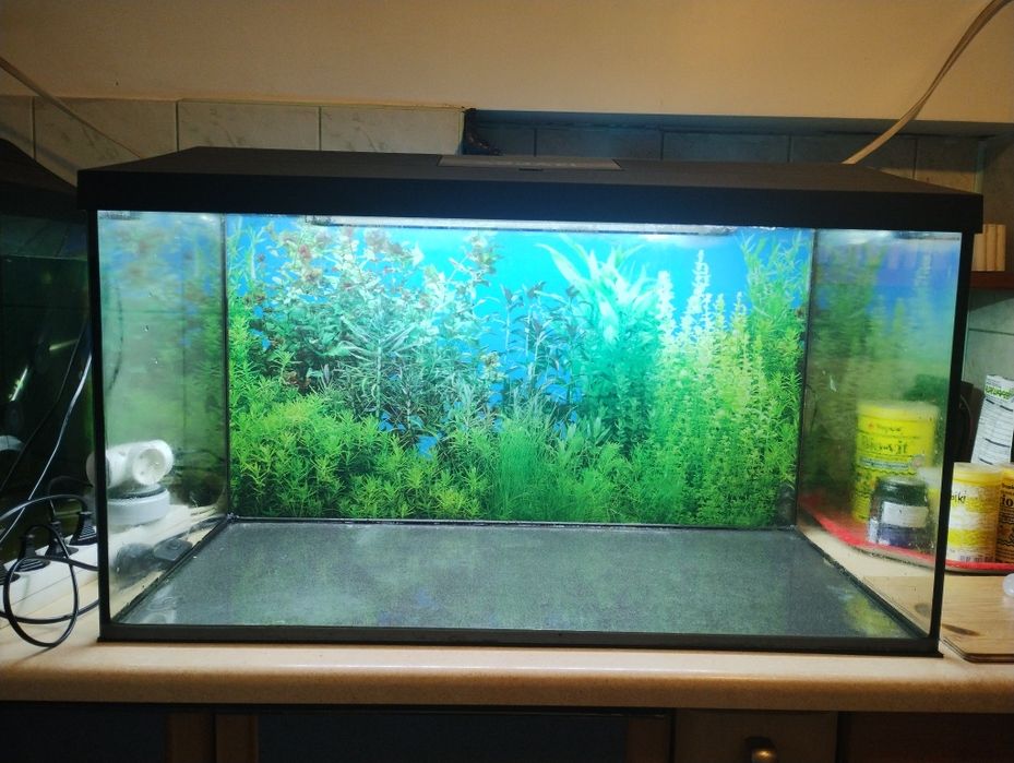 Akwarium 105 litrów
