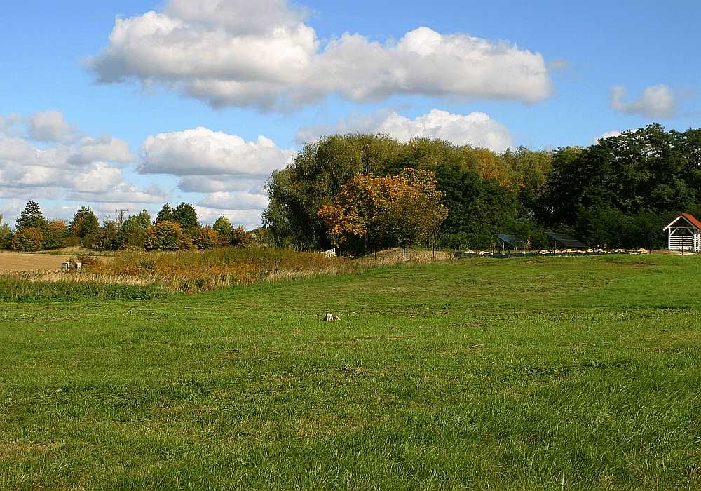 Działka budowlana 40 ar pod Nysą