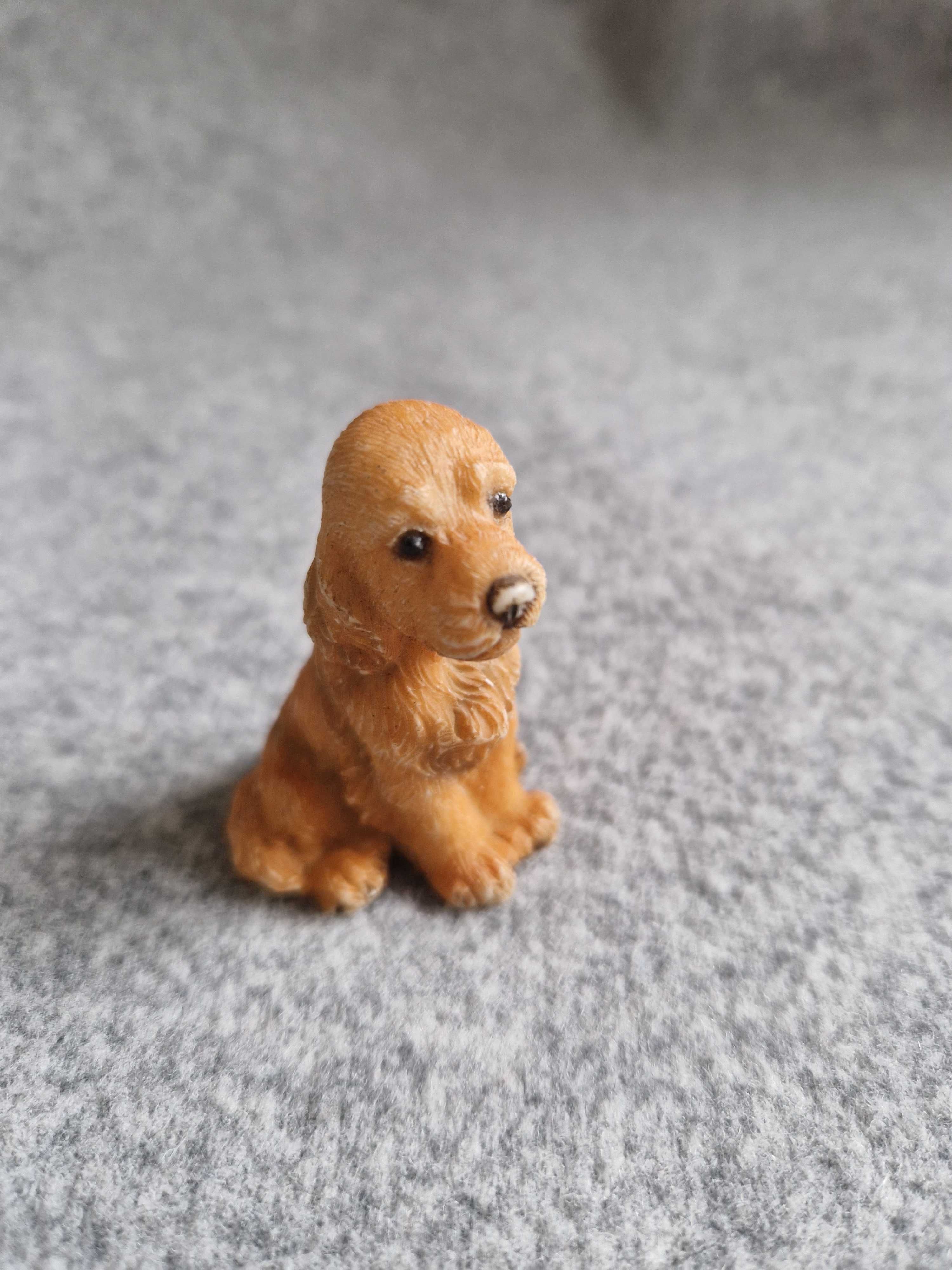 Figurki pieski golden retriver cocker spaniel