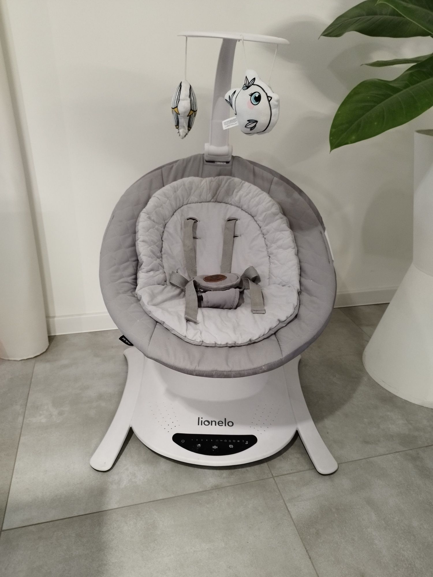 Bujak Lionelo Bella set
