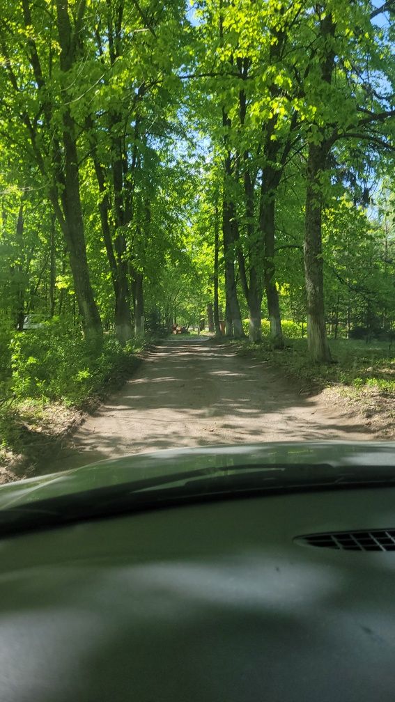 Продам ділянку серед соснового лісу з будинком!