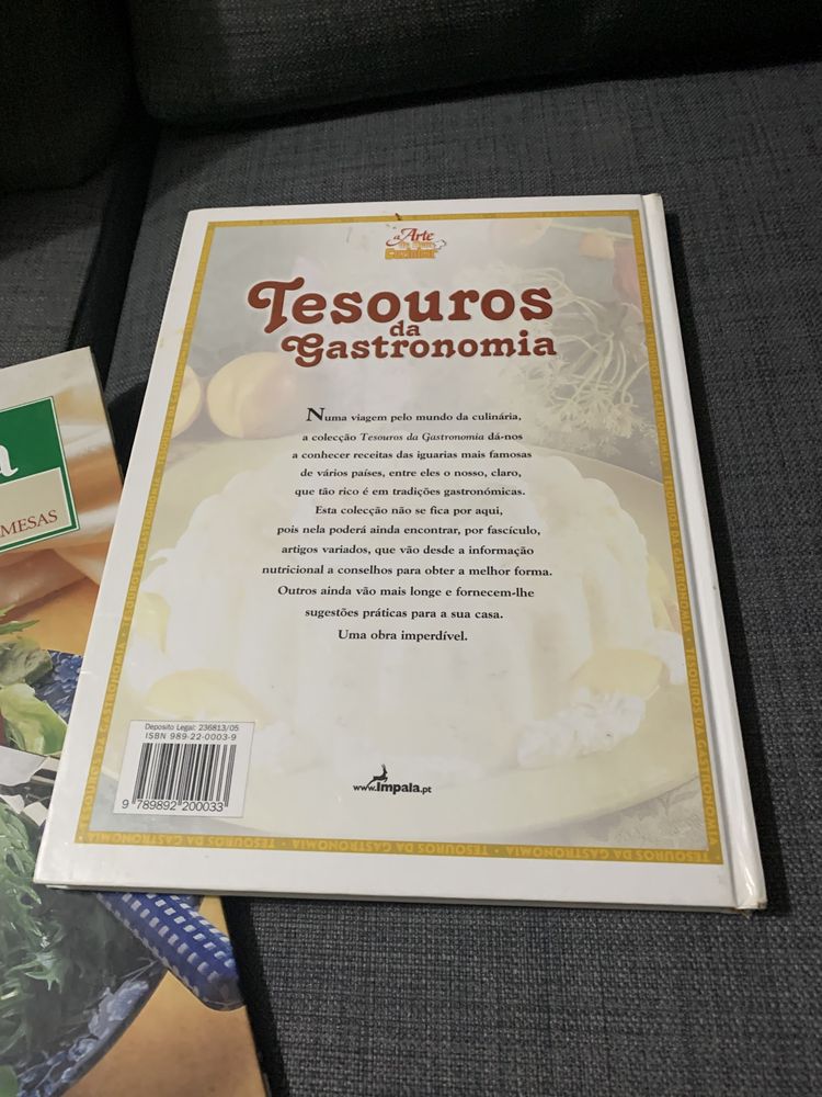 Conjunto de dois livros de culinaria