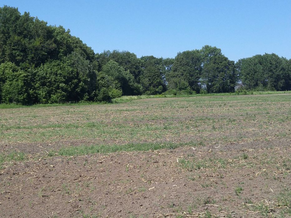 Продам участок 10 Га, поряд ліс, річка, с. Світильня