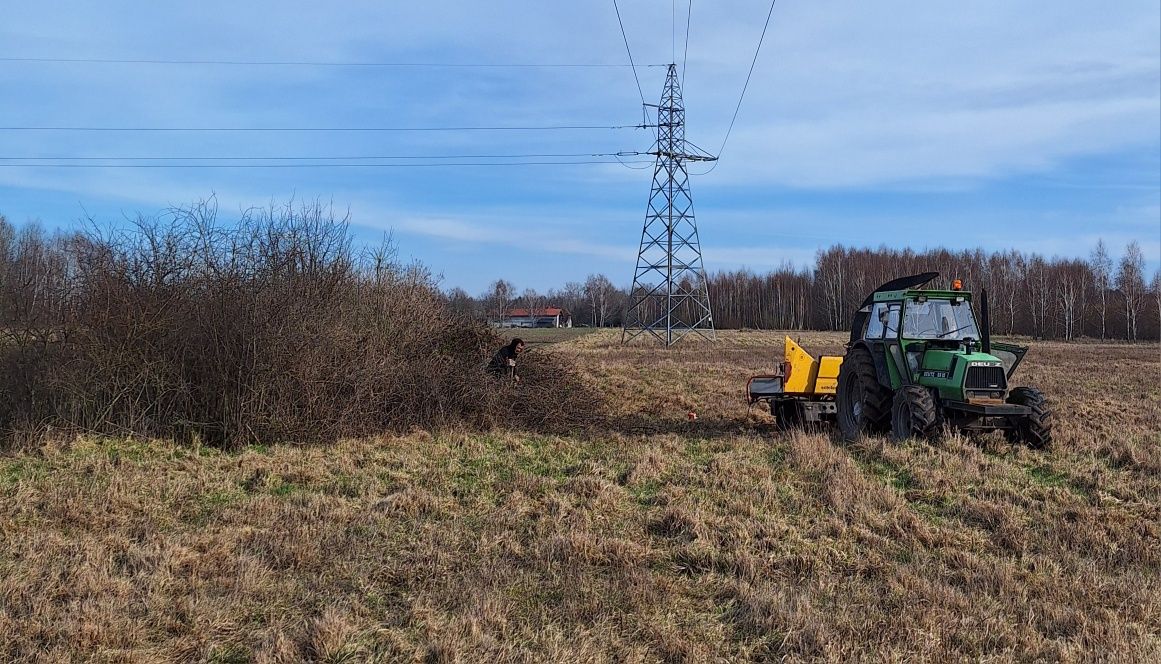 Wycinka drzew, karczowanie działek, rębak