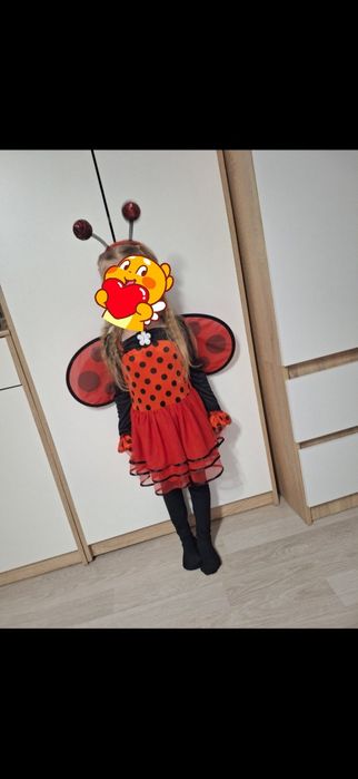 Strój biedronki 104