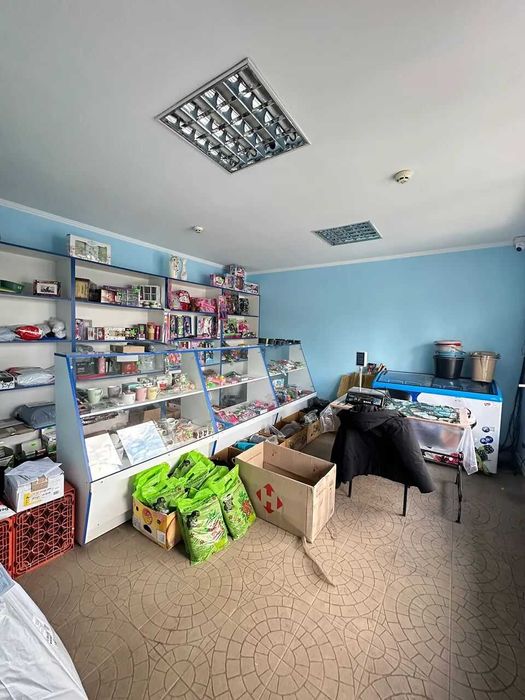 Продається діючий магазин с. Камінне з ділянкою 6 сот.