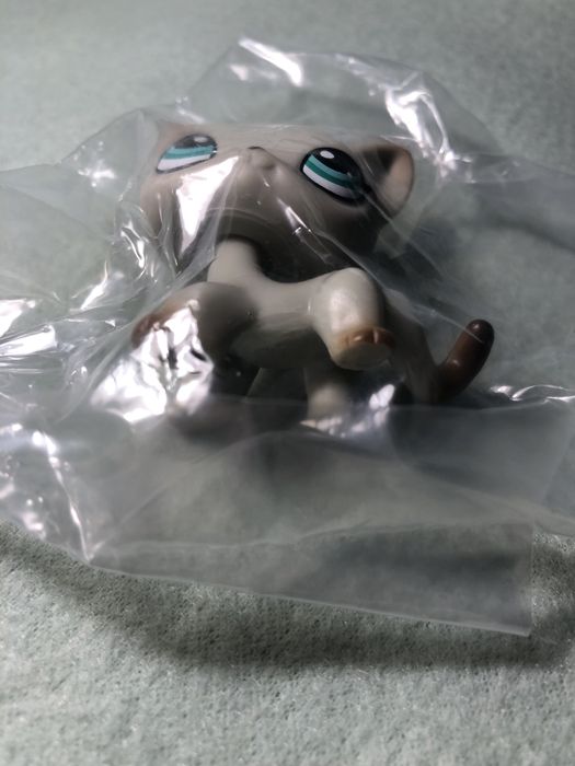 Nowy kotek shorthair egipski LPS