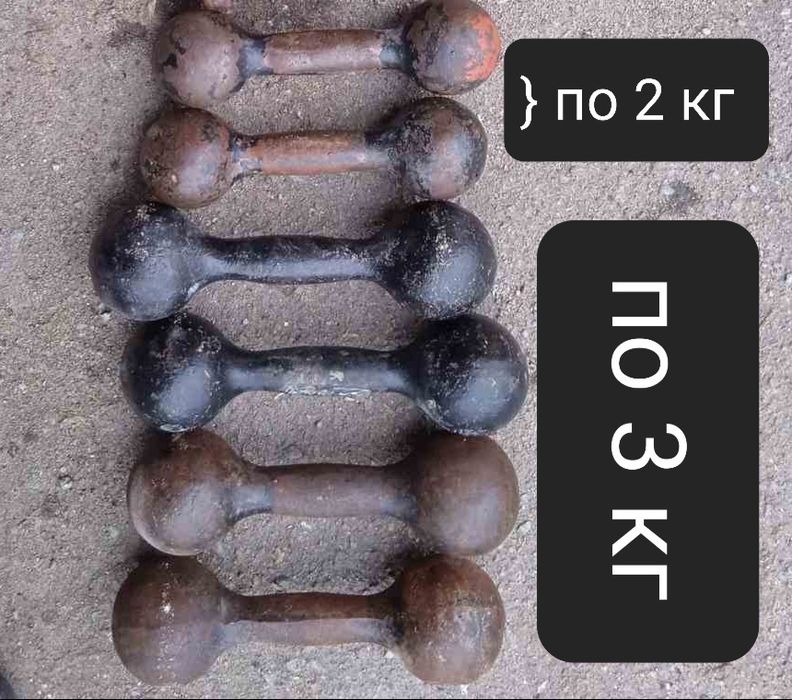 Чугунні литі гантелі 2кг/3кг