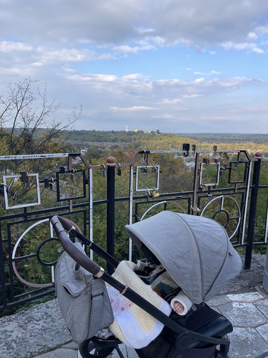 Коляска carello epika