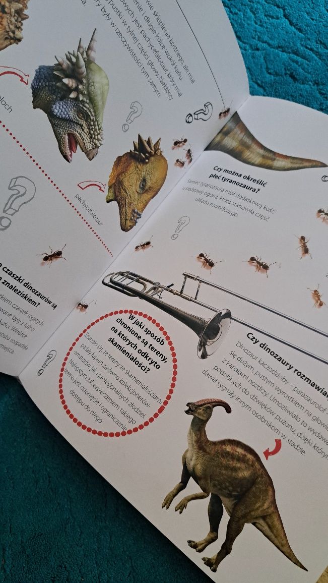 księga dinozaurów pytania i odpowiedzi