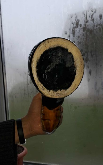 Півник Васильківська майоліка