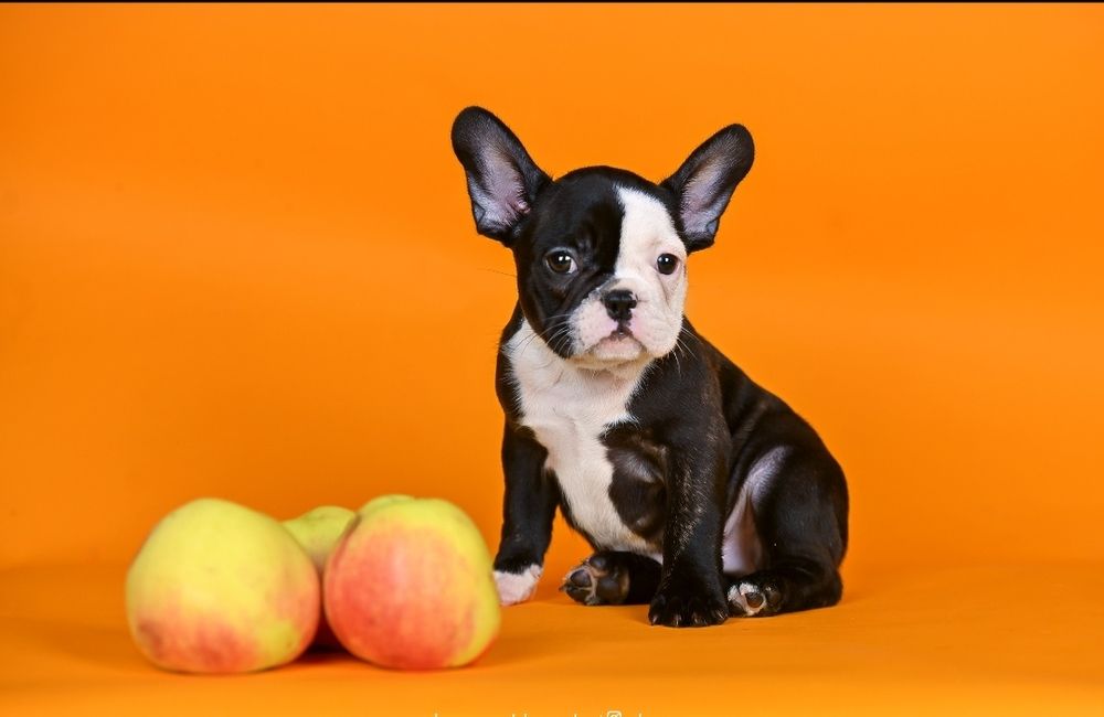 Хлопчик з дуже ексклюзивним забарвленням