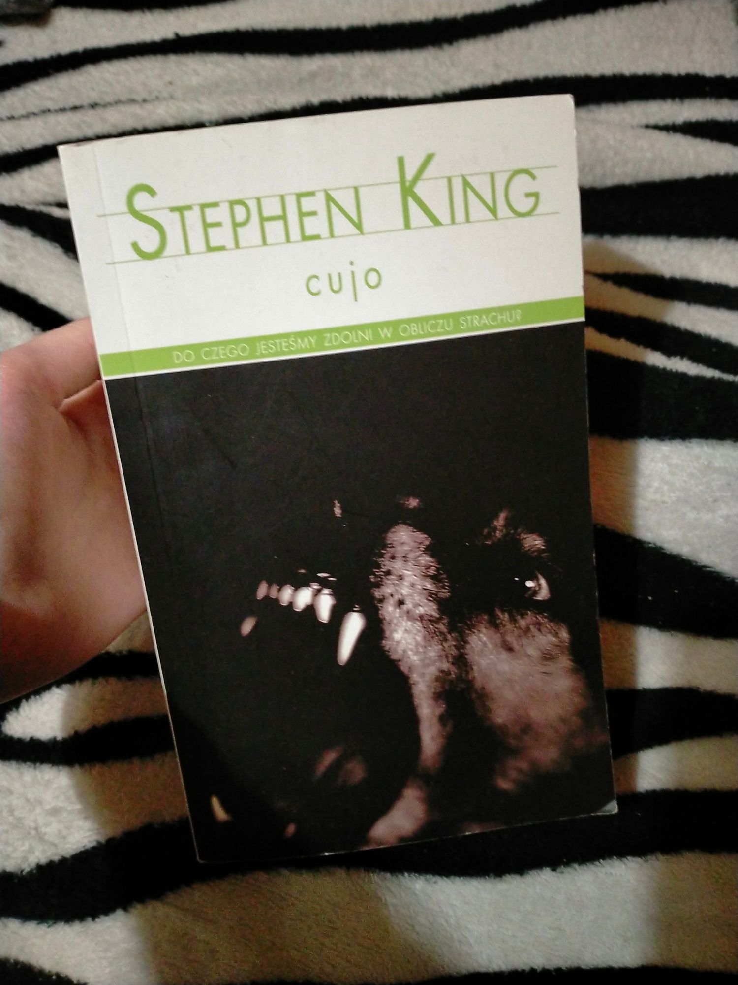 Stephen King Cujo Książka