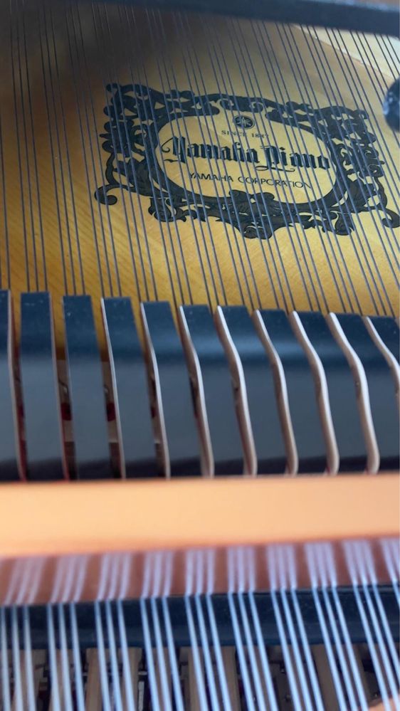 Piano de cauda YAMAHA GB1
