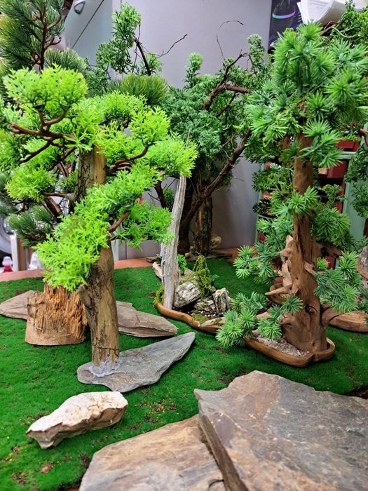 Bonsai który wyglądem broni się sam .