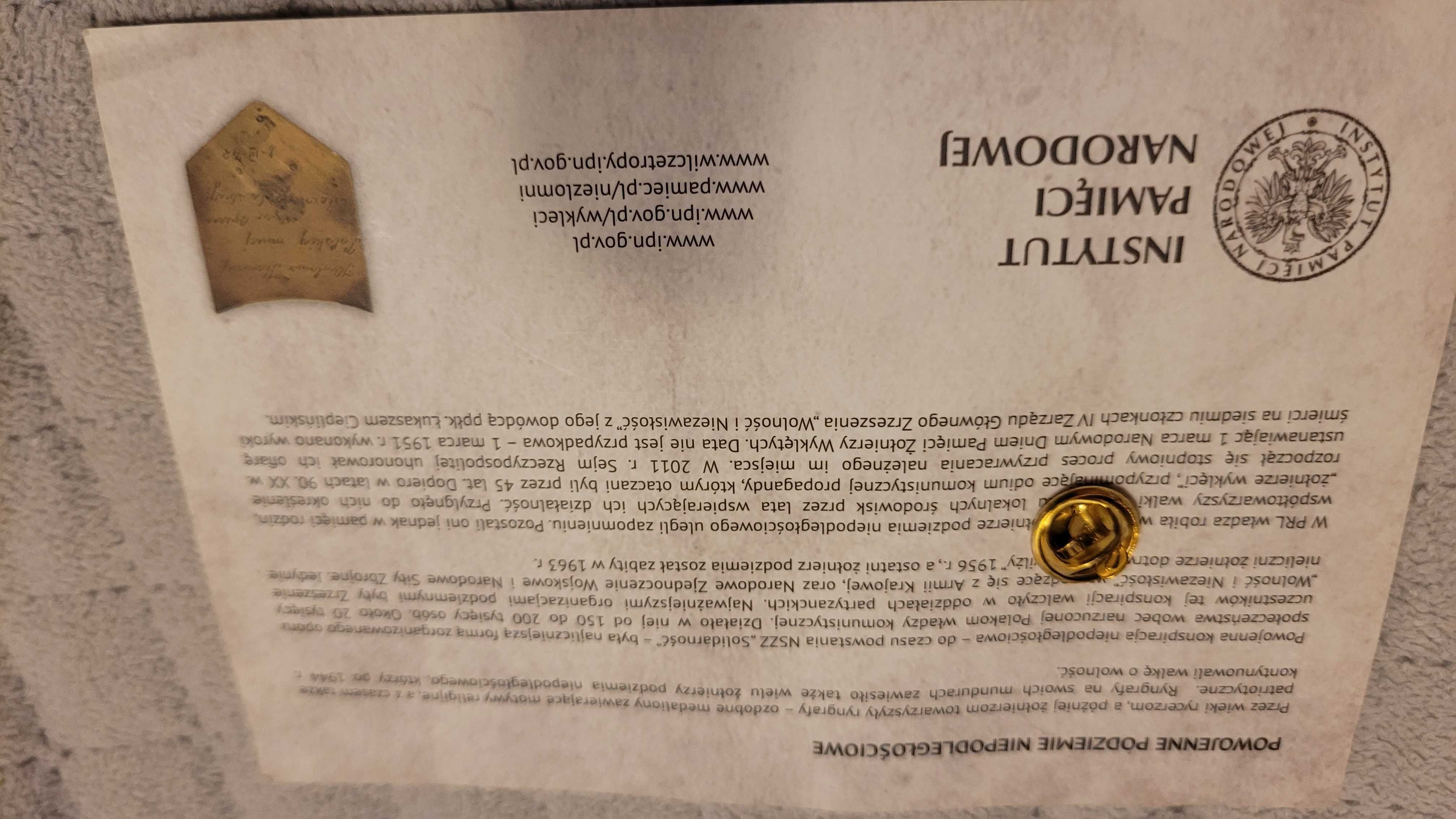 Ryngraf Żołnierze Wyklęci, odznaka IPN