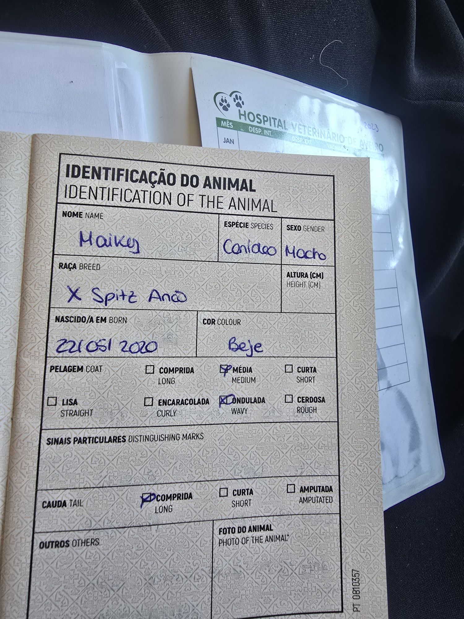 Doação responsável
