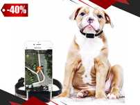 LOKALIZATOR GPS Obroża Dla Kota Psa Polska Aplikacja + GRATIS