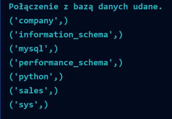 Nauka robienia PROJEKTÓW w Python, Robienie AI - Korepetycje/Szkolenia