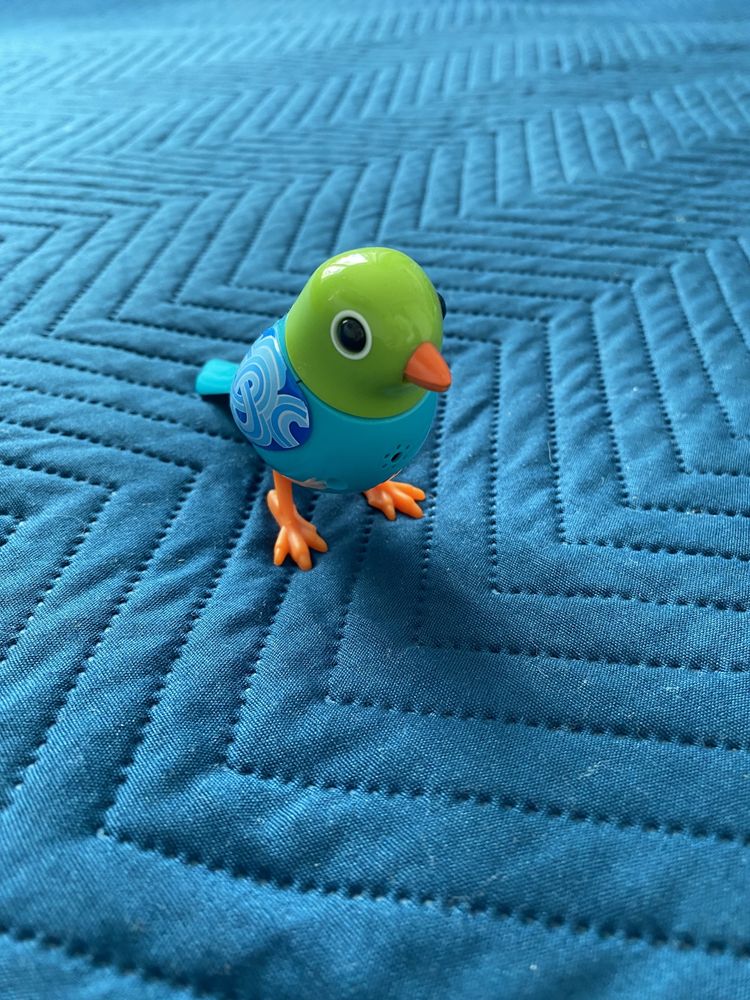 Ptaszek Digibirds turkusowy
