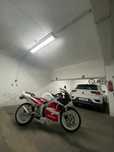 Honda  nsr 50 rr